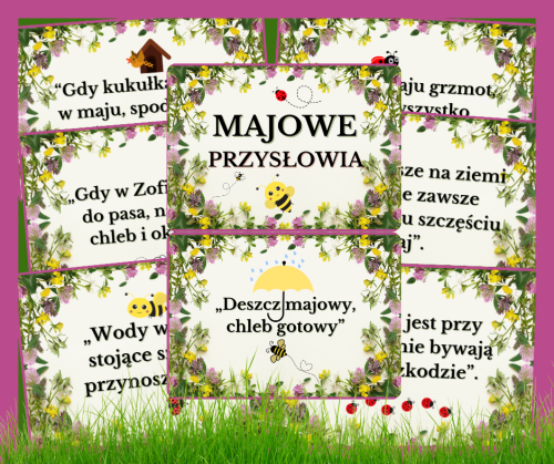 mokapy (5).png