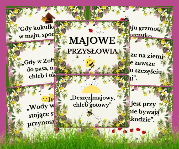 mokapy (5).png